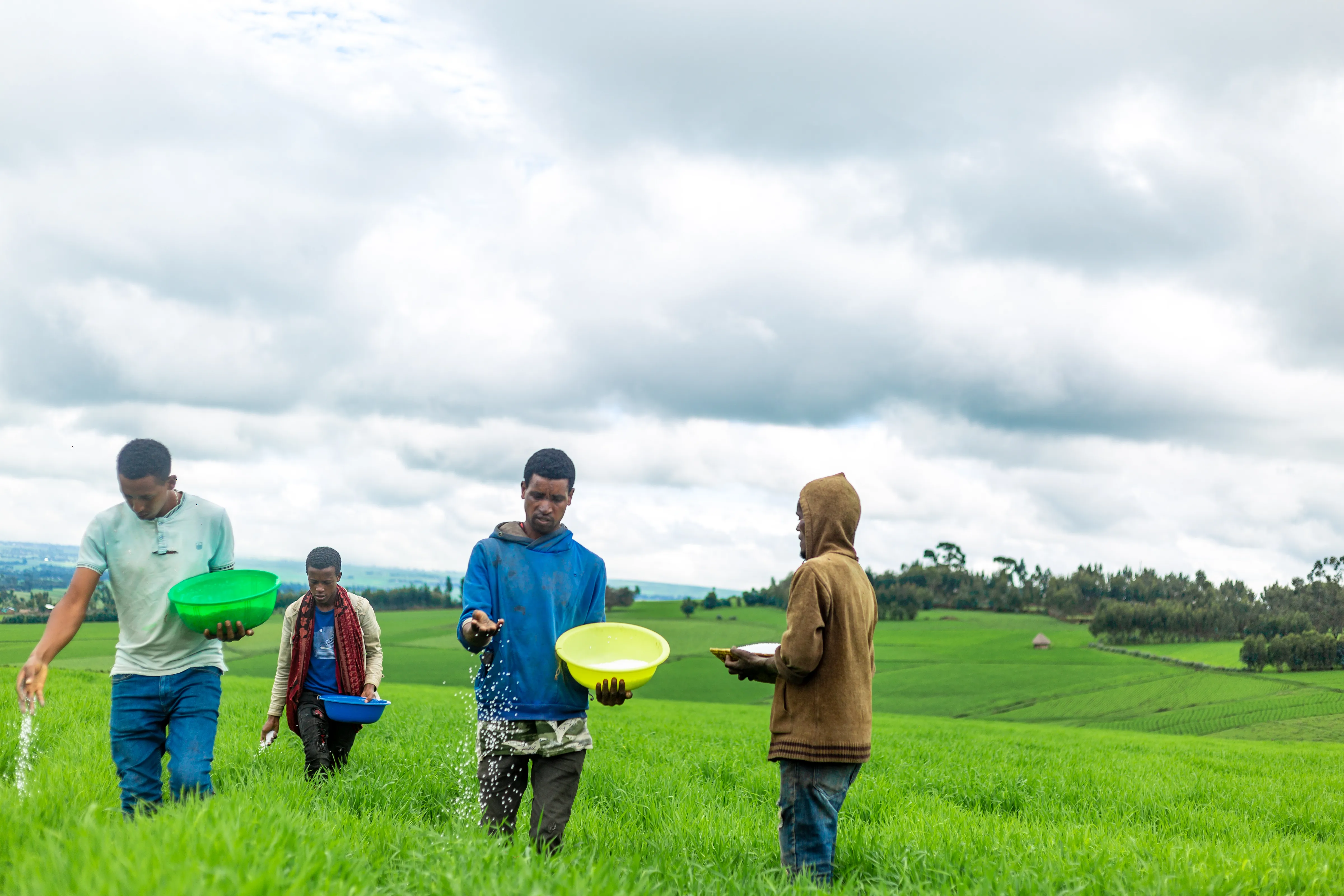 Showcasing bundled climate-smart innovations for Ethiopia’s ‘Wheat Belt’